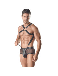 Harness Anais Axel II
