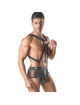 Harness Anais Axel III