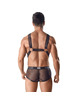Harness Anais Axel III