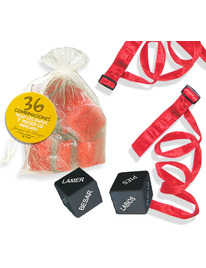 inedit - kit bag organza ties red