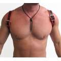 Harness Halter Black Red