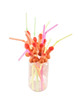 Diablo picante - bag of 10 natural big penis straws