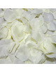 Spicy devil - 100 vanilla petals