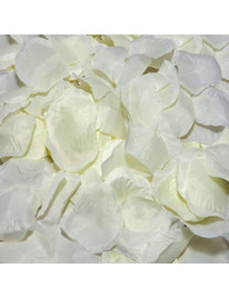 spicy devil - 100 vanilla petals