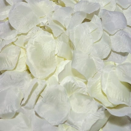 spicy devil - 100 vanilla petals