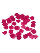 Pétalas Rosa Fucsia 100 Unidades Diablo Picante