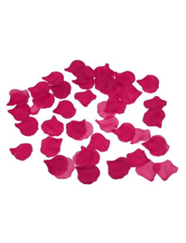 spicy devil - 100 fuchsia petals