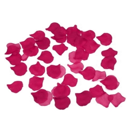 spicy devil - 100 fuchsia petals