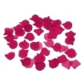 spicy devil - 100 fuchsia petals