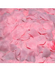 Spicy devil - 100 pink petals