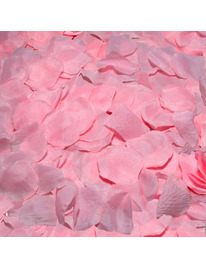 spicy devil - 100 pink petals