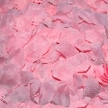 Pétalas Rosa 100 Unidades Diablo Picante