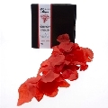 taloka - pÉtalos rojos perfumados con fragancia afrodisÍaca