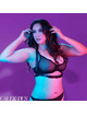 California exotics - euphoria plus size halter buckle harness black