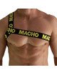 macho - arnes romano amarillo s/m