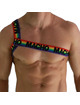 Harness MACHO Roman