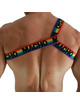 Harness MACHO Roman