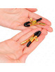 Pinzas para Pezones Kink Doradas 6 cm