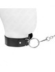 Kink - basic model collar with leash model 4 adjustable 36-43 cm