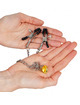 kink - chain nipple clamps with horn pendant 30 cm