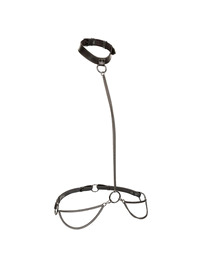 calexotics - euphoria chain halter collar leash