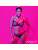 calexotics - euphoria collar halter y correa con cadena