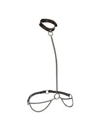 calexotics - euphoria chain halter collar leash plus size