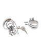 Hidden desire - extreme chastity cock cage metal