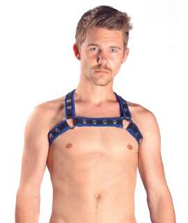 Harness X-Back Premium Blue 601712