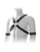 Harness with Black cable Ties 111019