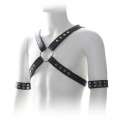 Harness Preto com Braçadeiras