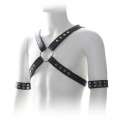 Harness with Black cable Ties