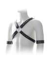 Harness with Black cable Ties 111019