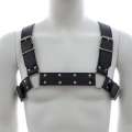 Harness H Black