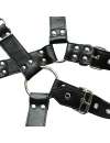 Harness Collar Leather Synthetic 111024