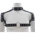 Harness Collar Leather Synthetic