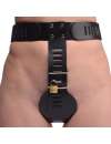 Chastity belt Female with 5 Padlocks 144001