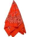 Scarf Orange 413935