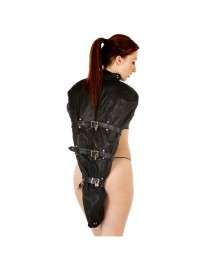 Harness Feminine Shoulders and Arms 111025