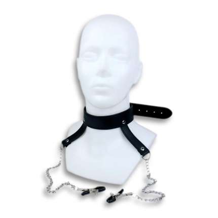 The collar with Clamps for Nipples Bondage 334002