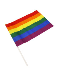 Bandeira Pride Grande