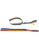 Pulseira Pride Rainbow