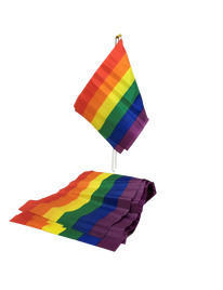 Bandeira Pride Rainbow S