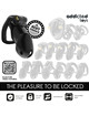 Cinto de Castidade Addicted Toys Locked Mindnight L