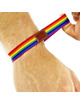 Pulseira Pride Rainbow Luxury