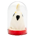 condomerie - handpainted novelty condoms parrot white
