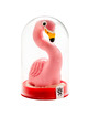 condomerie - handpainted novelty condoms flamingo pink