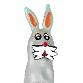 condomerie - handpainted novelty condoms bunny