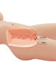 crazy bull - tiffany realistic female torso vagina and anal 5.5 kg
